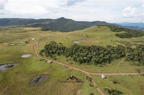 Fazenda S Tio M Em Centro Em Urupema Por R Viva Real