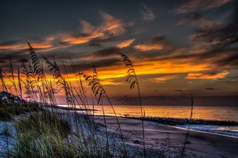 Edisto Beach - SC Picture Project