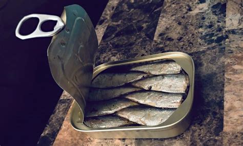 Sardines Uses For Survival Emergency Food Guide The Survival Journal