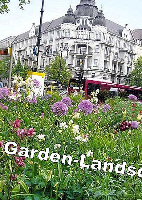 lifestyle   beautiful gardens  berlin  beautiful garden