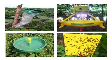 Figure showing types of insect traps: A. Pheremone trap, B:Light trap ...