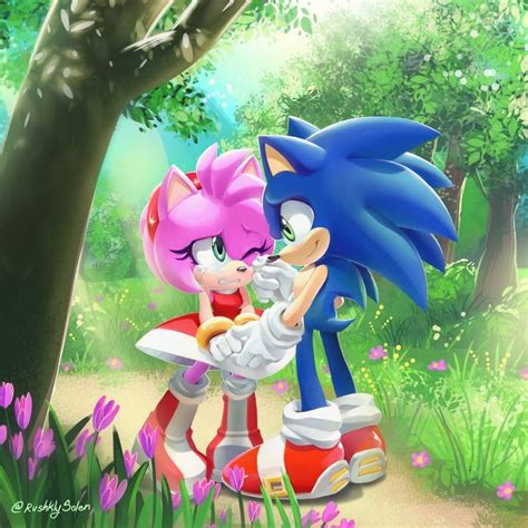 Pin De Layla At En Sonic The Hedgehog Amy Rose Sonic Fotos Dibujos