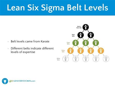 Lean Six Sigma Roles