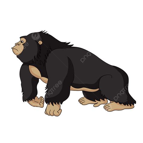 Robust Clipart Vector Cartoon Robust Orangutan Clipart Orangutan