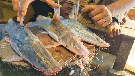 Rare Giant Ayer Fish Cutting In Bangladesh Amazing Cutting Bd Fish