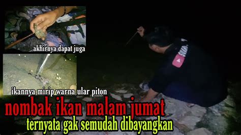 Suara Kehidupan Nombak Ikan Dimalam Hari Jumat Didanau Seperti Apa