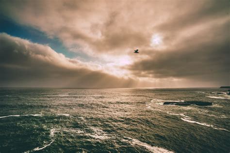 Kostenlose Foto Strand Meer K Ste Wasser Natur Ozean Horizont