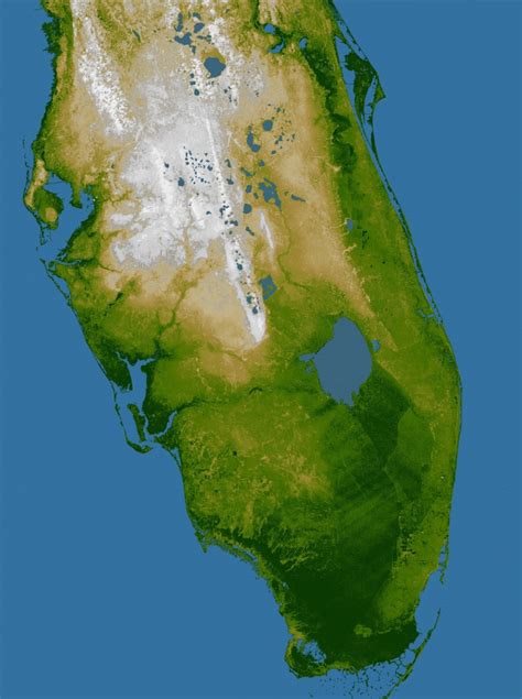 Free Putnam County, Florida Topo Maps & Elevations - Florida Elevation ...