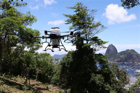 Drones Ser O Usados Para Reflorestar Matas No Rio De Janeiro Ciclovivo