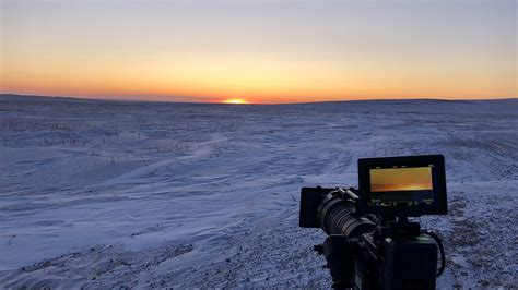 BBC One Frozen Planet II Pallass Cats On The Mongolian Steppe