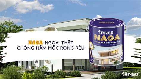 Lý Do Nhà Bạn Cần Sơn Chống Nấm Mốc Rong Rêu