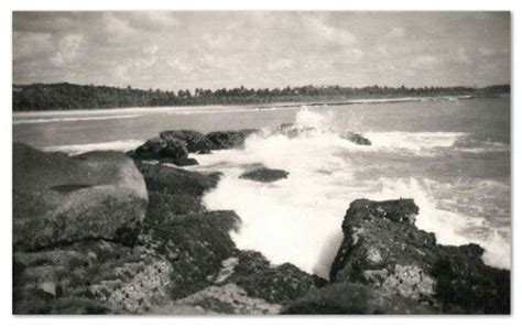 Praia De Gaibu Beautiful Beach In Recife