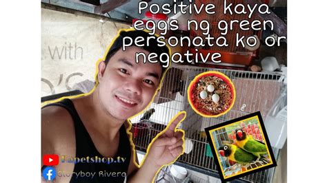 Panu Malaman Kung Positive Or Negative Ang Itlog Ng Mga Ibon Natin