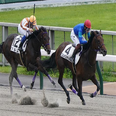 【新馬東京6r】コンバスチョンが4馬身差完勝！人気に応える 2021年6月27日掲載 ライブドアニュース