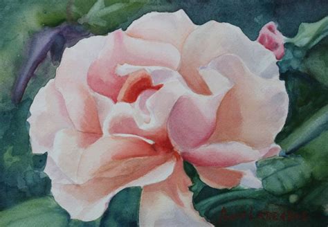 First Blush Water Color By Artist Ann Larrabee Painting Watercolor