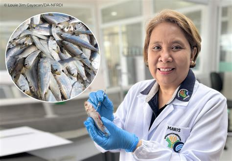 feature  science  policy conserving sardinella tawilis  taal