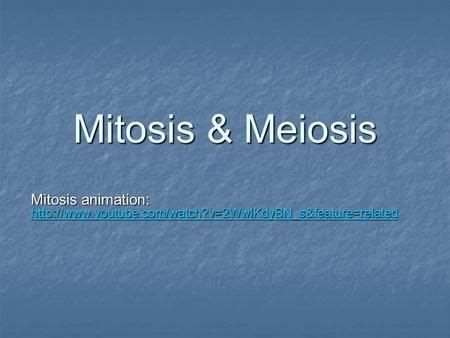 Mitosis & Meiosis Mitosis animation: - ppt download | Meiosis, Nuclear membrane, Mitosis