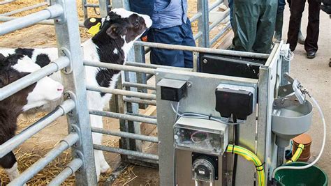 Everything You Need To Know About Automatic Calf Feeders Farmers Weekly