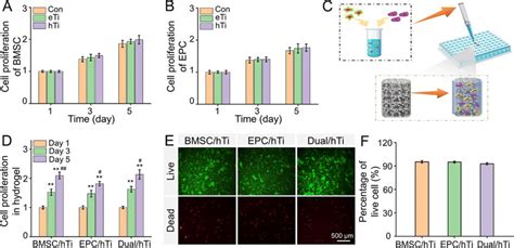 A Bmsc Proliferation And B Epc Proliferation Cultured With Con Eti