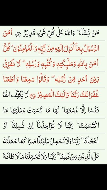 Surah Bakra Last 2 Ayat Ki Tilawet ️🤍 ️🤍 Youtube