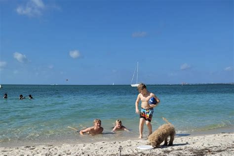 Las 6 Mejores Playas De Miami Donde Puedes Llevar A Tu Perro Infobae