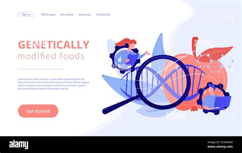 Genetically Modified Foods Concept Landing Page Stock Vector Image