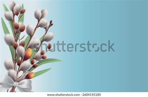 Pussy Willow Branch Bouquete Stock Vectors And Vector Art