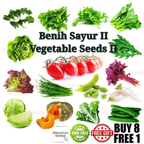 Biji Benih Sayur Sayuran Vegetable Seed Benih Sayur Buah Sawi Bayam