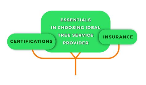 Guide to Selecting the Perfect Tree Service Provider 