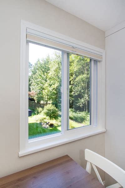 Double Pane Windows Roxy Glass