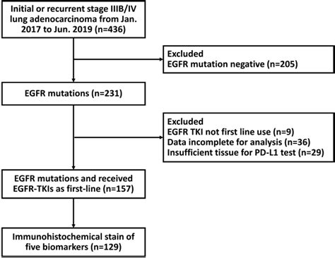 Effect Of BIM Expression On The Prognostic Value Of PD L1 In Advanced