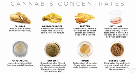 The Cannabis Concentrates Guide