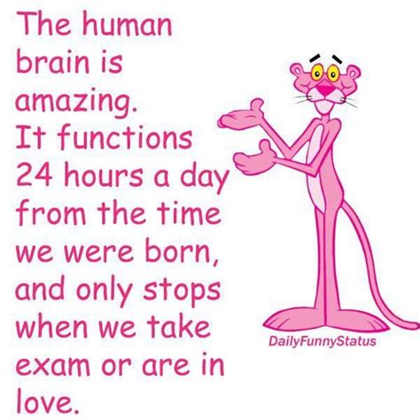 Funny Pink Panther Quotes Shortquotescc