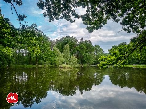 Puszcza Niepołomicka szlakiem stawów i bagien Kasai podróże w sieci