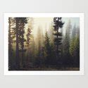 Sunrise Forest Art Print by Kevin Russ | Society6