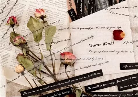 Самозалепващи стикери с фрази на английски език - StickyLand