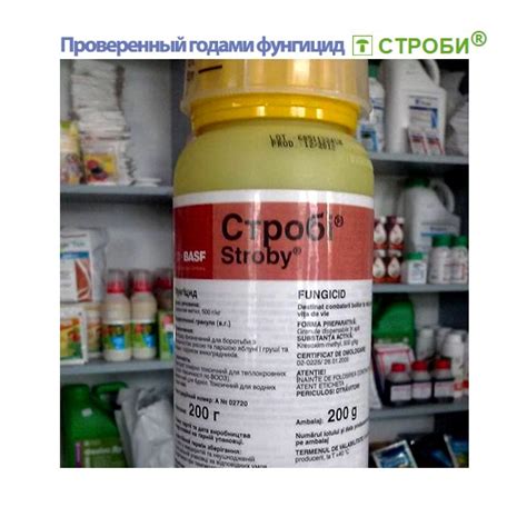 Скор инструкция – Telegraph