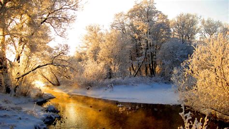 Download Nature Winter HD Wallpaper