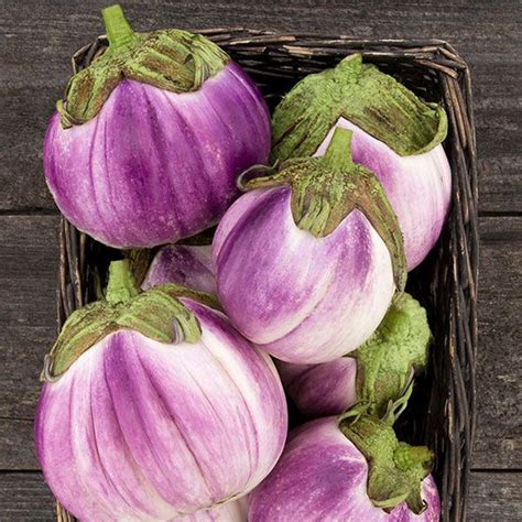 Eggplant ‘rotonda Bianca Sfumata Di Rosa 50 Seeds Solanum Melongena