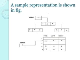 Representation of binary tree in memory | PPT