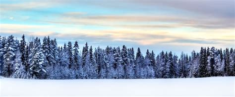 Swedish Lapland Holidays | Wexas Travel