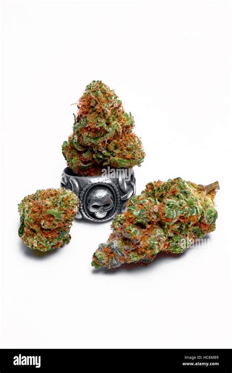 Close up photo of marijuana bud(s) isolated on background Stock Photo ...