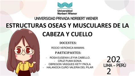 Estructuras óseas y musculares de la cabeza y cuello valeria Halanoca