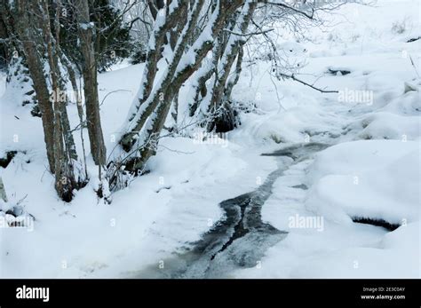 Winter in Finland Stock Photo - Alamy