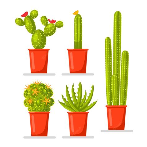 Conjunto De Plantas De Cactus En Maceta Vector Premium