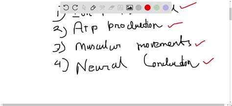 SOLVED: The percentages of naturally occurring elements making up the ... 