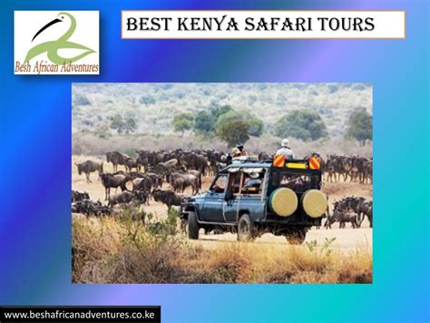 Best Kenya Safari Tours