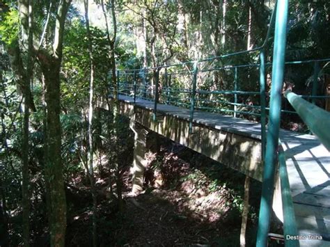 Best Partially Paved Trails in Serra dos Órgãos National Park AllTrails