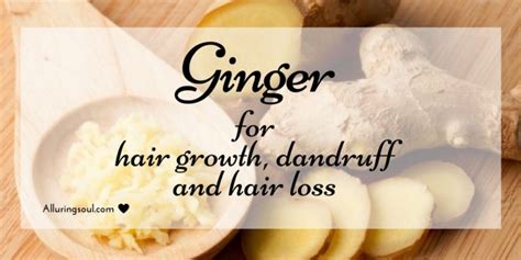 Ginger For Hair Growth Dandruff And Hair Loss Saloni Health Beauty