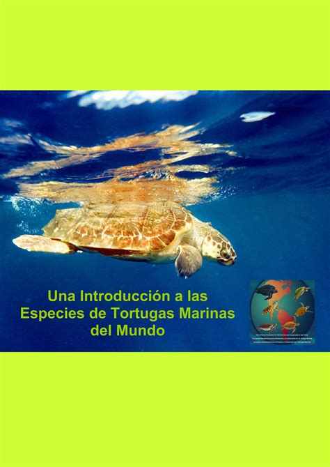 Especies Tortugas Marinas Del Mundo Pdf